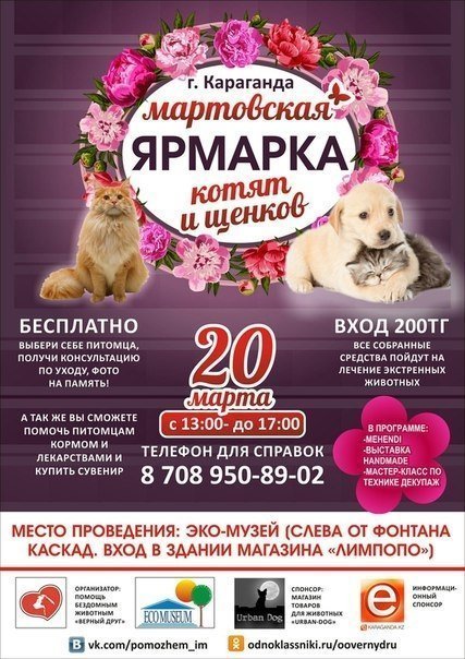 Скоро пройдет весенняя ярмарка котят и щенков