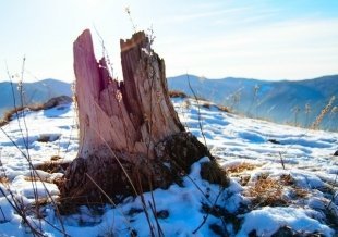 Окрестности Красноярска: Торгашинский хребет