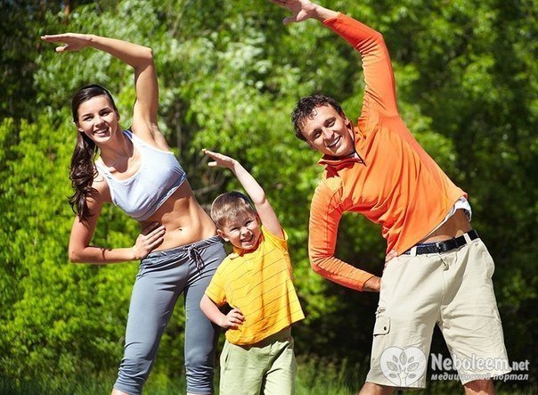 Зарядки в парках станут еженедельными
