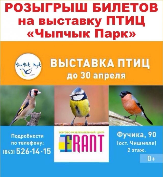 Розыгрыш сертификатов на уникальную выставку певчих птиц «Чыпчык Парк»