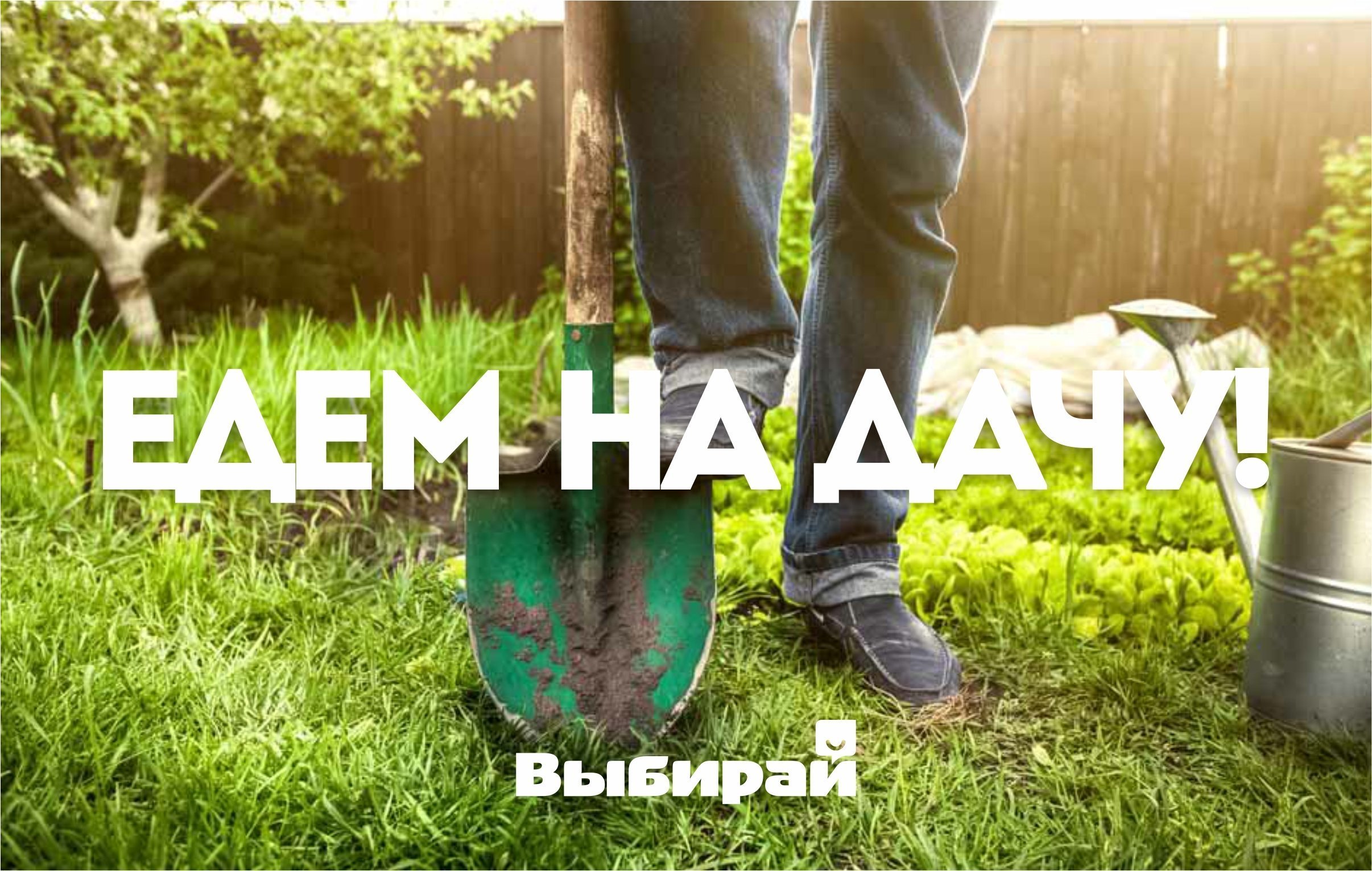 Открытки к дачному сезону