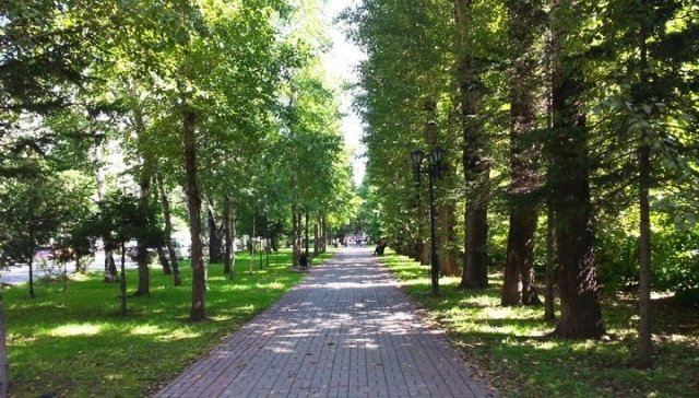На выходных омичи высадят целый сквер