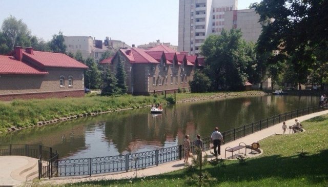 На пруду в саду имени Аксакова в Уфе вновь появились лебеди