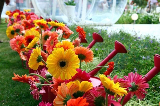 С 19 августа в Уфе пройдет 7 фестивалей цветов