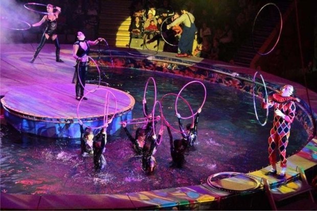 17 сентября в Казанском цирке стартует новая программа «Цирк на воде»