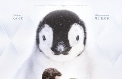 Любовь и пингвины