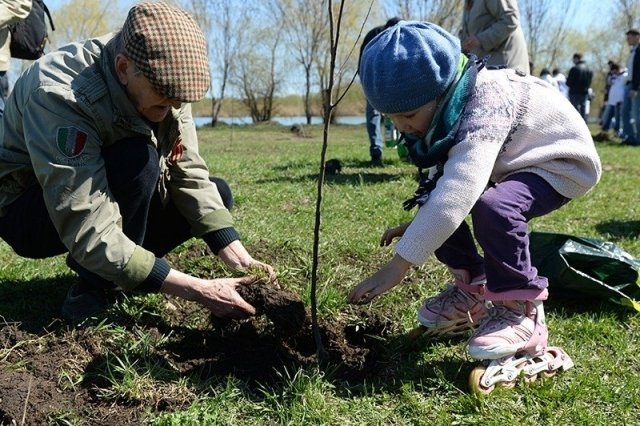 В Сургуте высадили первые деревья на "Аллее доблести и славы"