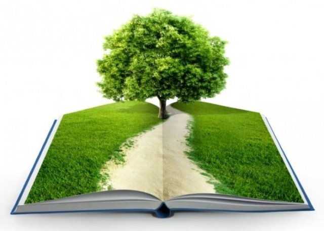 В Сургуте спасают деревья и дарят книги