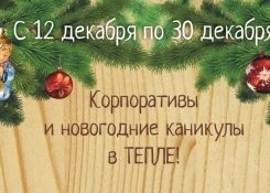 Новый Год 2017 в ТЕПЛЕ!