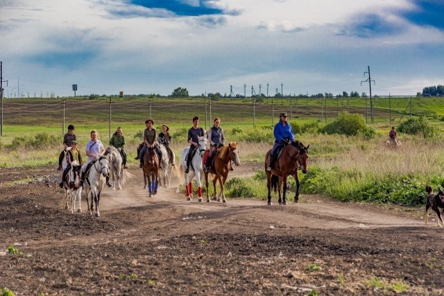 Тюменцев зовут бесплатно покататься на лошадях