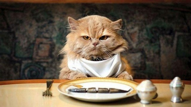 Online-режим 