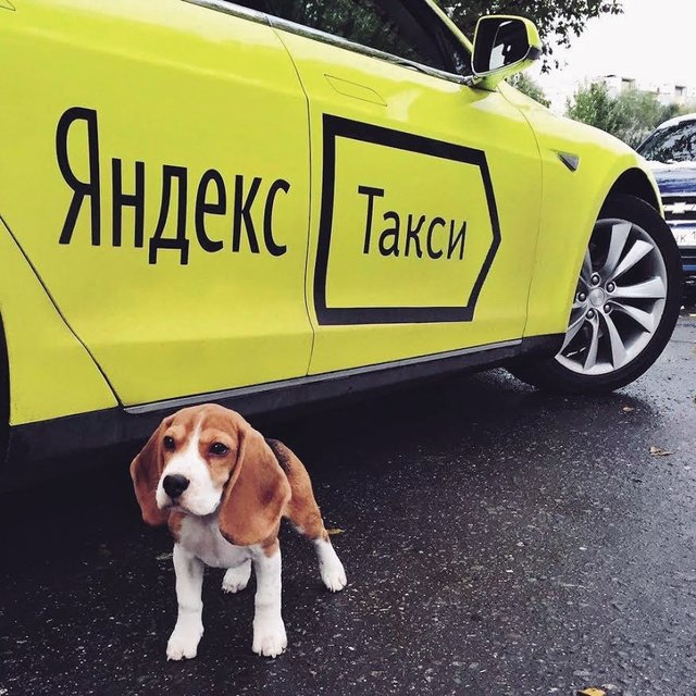 Яндекс-такси в Челябинске