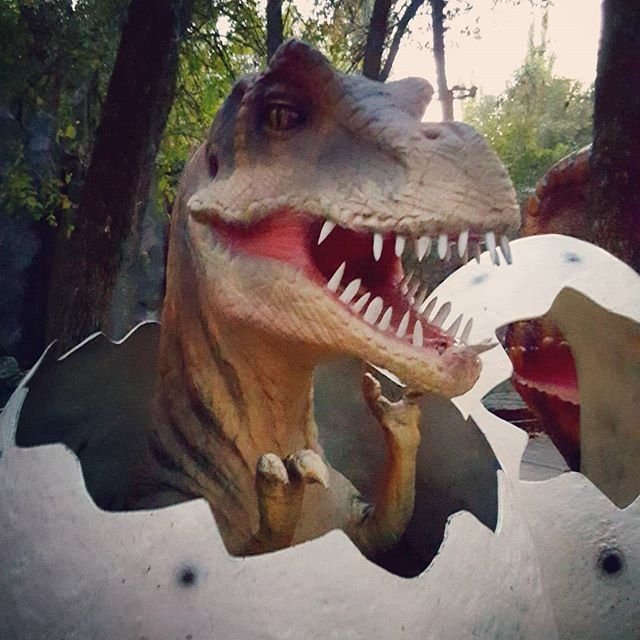 Первые фигуры динозавров для белгородского динопарка прибудут в наш город уже в апреле. 