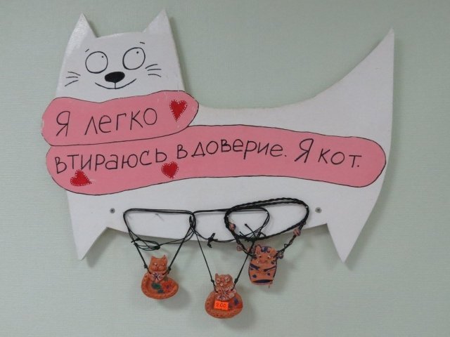 5 странных мест, где гладят кошек в Ижевске