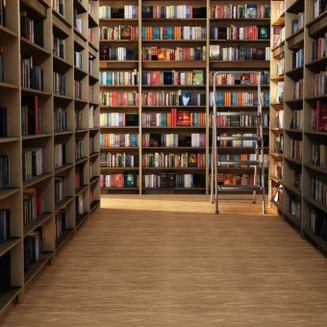 В Сургуте откроется неформатная библиотека для юных читателей