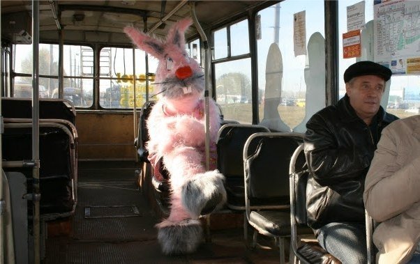 Сургутским автобусным "зайцам" повысят штраф 