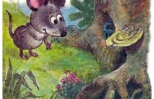 Сказки о мышонке