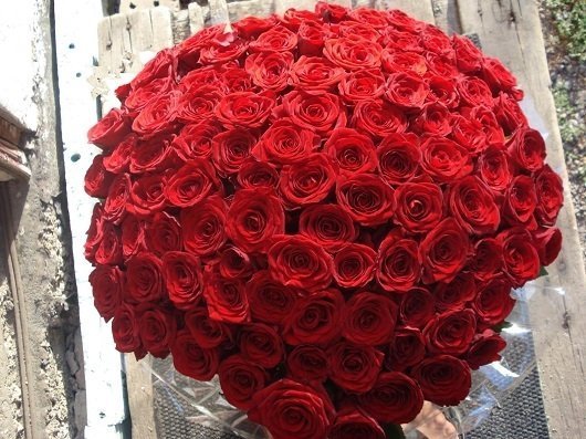Жительницам Тольятти предложили взять в аренду 101 розу