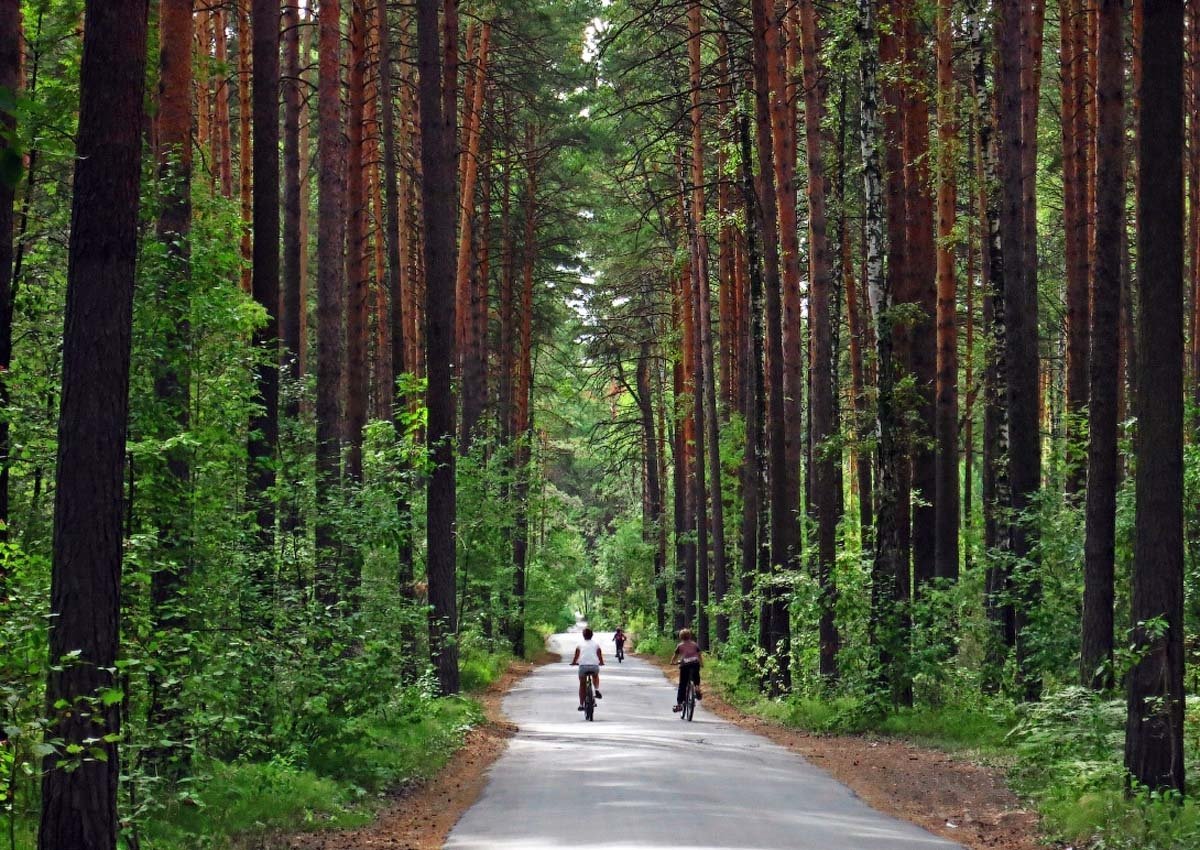 парк на лесной