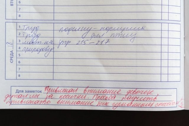 Екатеринбургские учителя смогут принять участие в конкурсе по написанию замечаний в дневниках