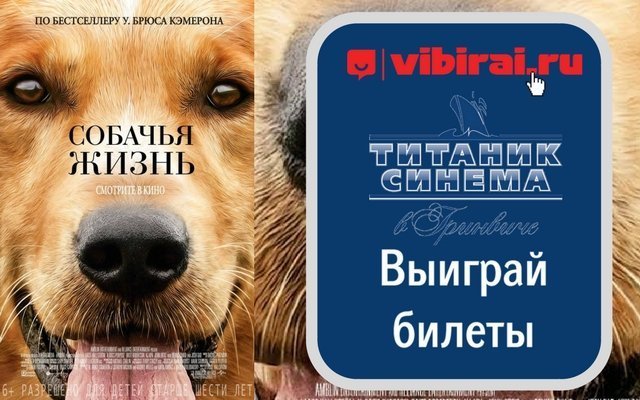 Розыгрыш билетов на фильм «Собачья жизнь» (6+)