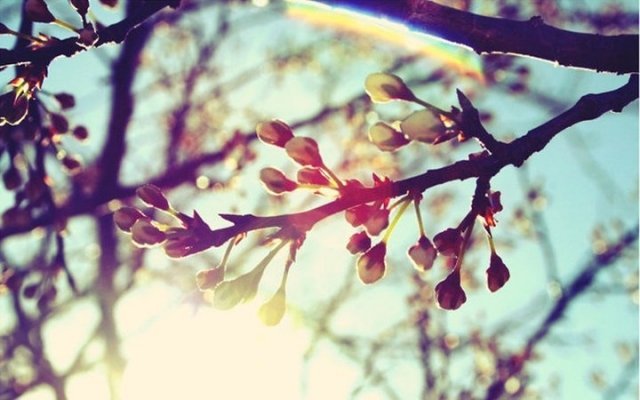 Весна в Челябинске начнется через три дня
