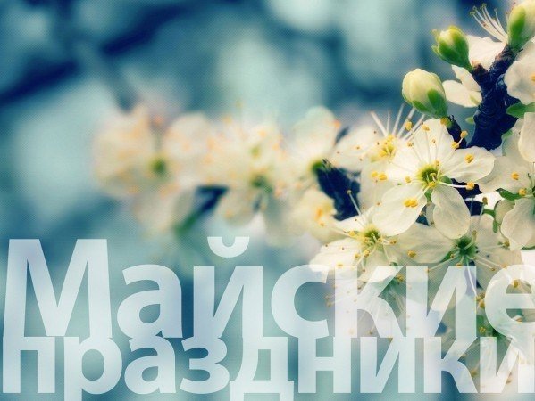 В мае всех казахстанцев ожидает 11 выходных дней. 