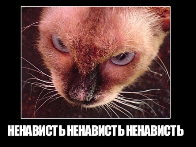 В Центре современного искусства в Ночь музеев пройдёт перфоманс «Я испытываю ненависть»
