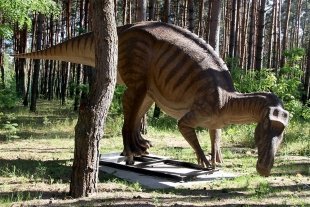 В Белгород прибыли новые динозавры