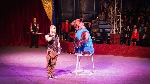 В Курган приезжает московский цирк «Арена-ягуар»