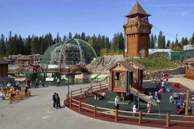 Новости: ижевский зоопарк – один из самых популярных в России