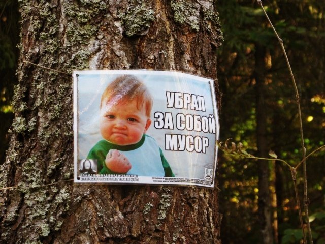 Жителей Тюмени зовут на "Приборку в лесу"