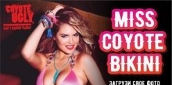 Бар «Гадкий Койот» запустил конкурс красоты «Miss Coyote Bikini»
