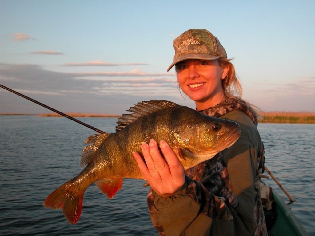 Озеро Андреевское в Тюмени: рыболовные места, сезон, снасти