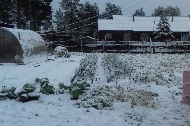 Первый снег выпал в Иркутской области 26 и 27 августа