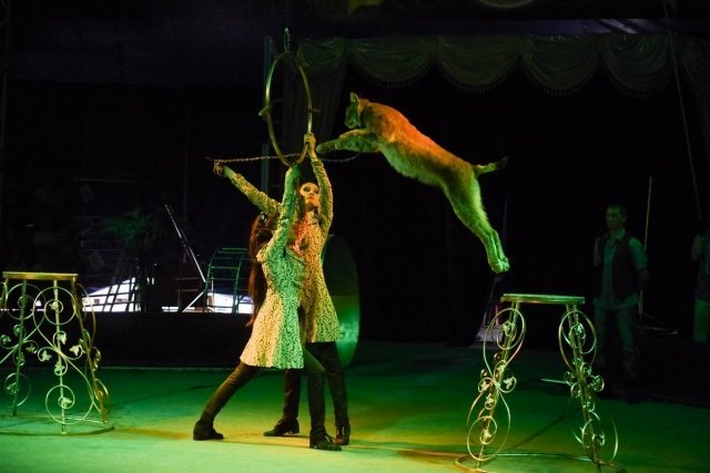 Московский цирк-шапито продлит гастроли в Уфе