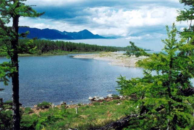 Самый большой в России экологический парк хотят построить на Байкале