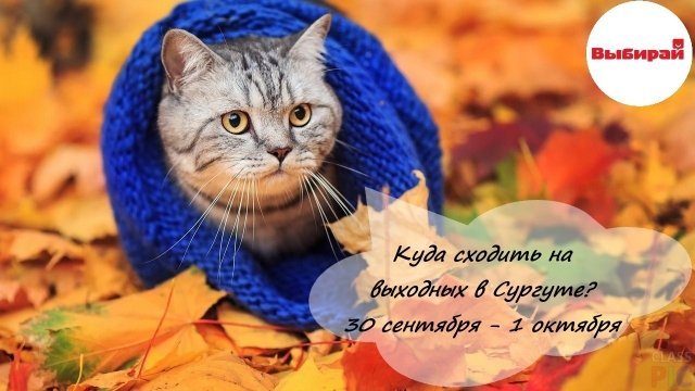 Куда сходить на выходных в Сургуте: 30 сентября - 1 октября 