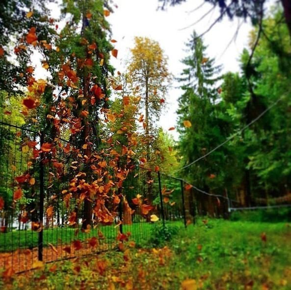 Осенний Ижевск