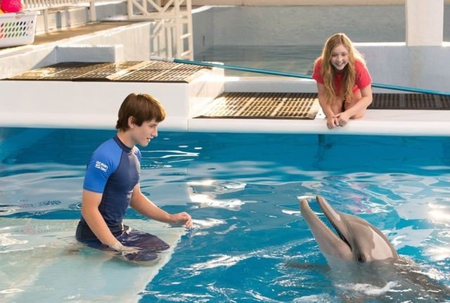История дельфинов