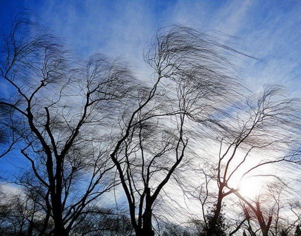 24 ноября в Сургуте ожидается сильный ветер