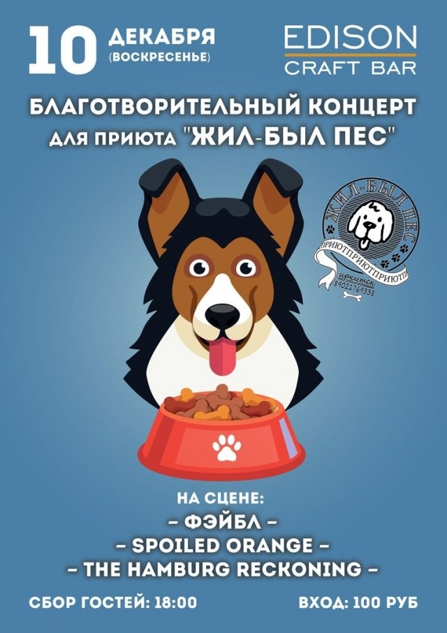 Концерт в поддержку приюта «Жил-был пес» пройдет в Иркутске 10 декабря