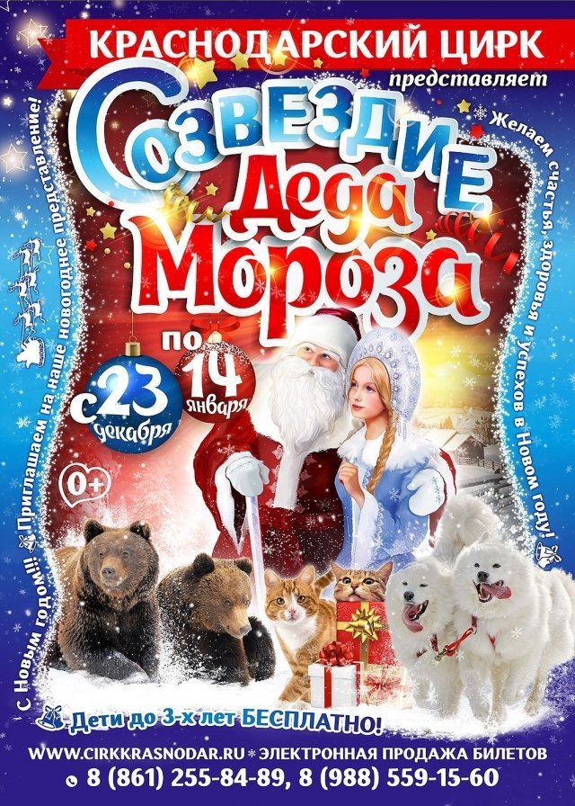 Краснодарский цирк дарит новогоднее настроение