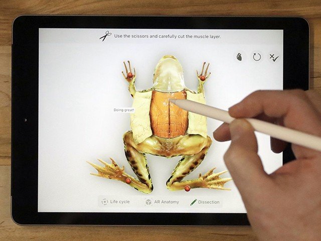 Apple выпустит iPad для студентов