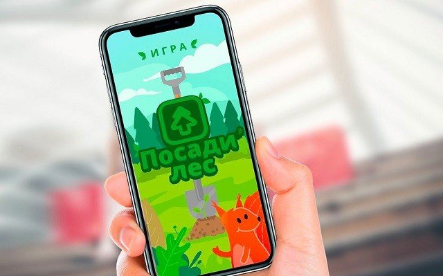 В России разрабатывают мобильную игру «Посади лес», которая призвана сохранить леса страны