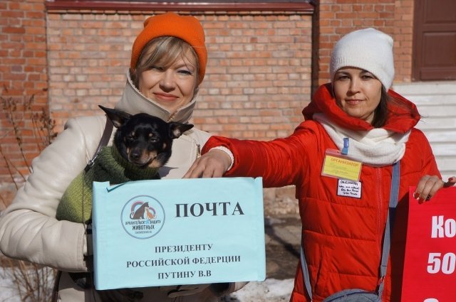 В Архангельске прошел пикет в защиту животных