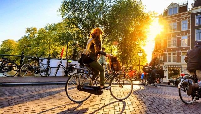 велосипедисты амстердам