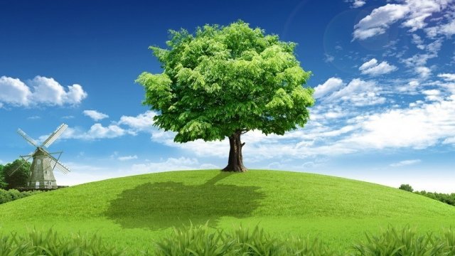 Сдай макулатуру - спаси дерево: в Сургуте пройдет акция по сбору макулатуры