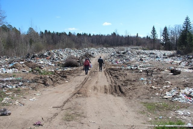 Новости: Под Камбаркой жители начали охоту за мусором