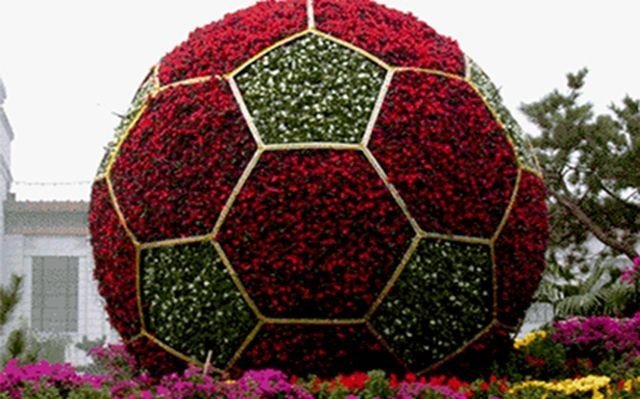 В Челнах к Чемпионату мира по футболу появятся цветочные композиции